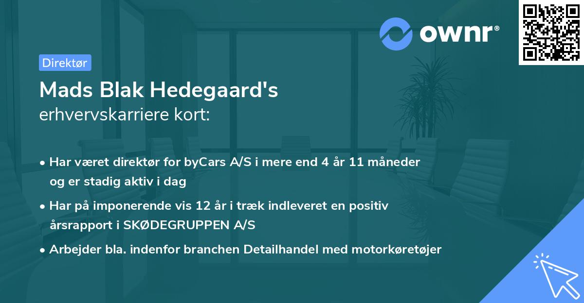 Mads Blak Hedegaard's erhvervskarriere kort