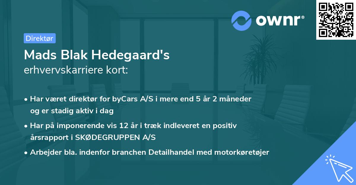 Mads Blak Hedegaard's erhvervskarriere kort