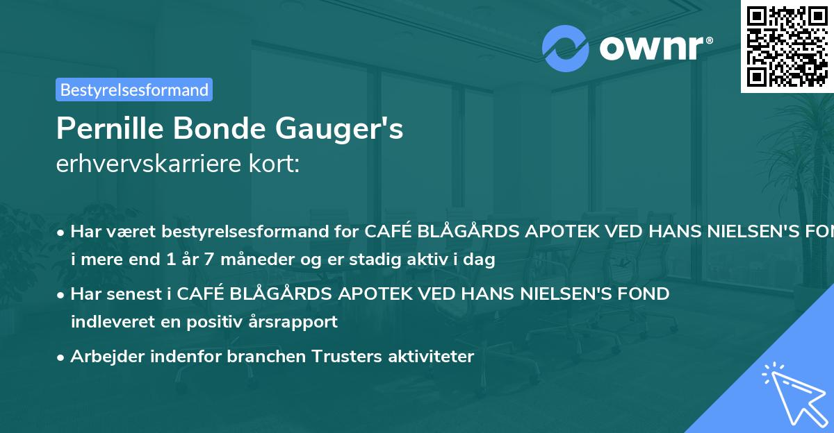 Pernille Bonde Gauger's erhvervskarriere kort
