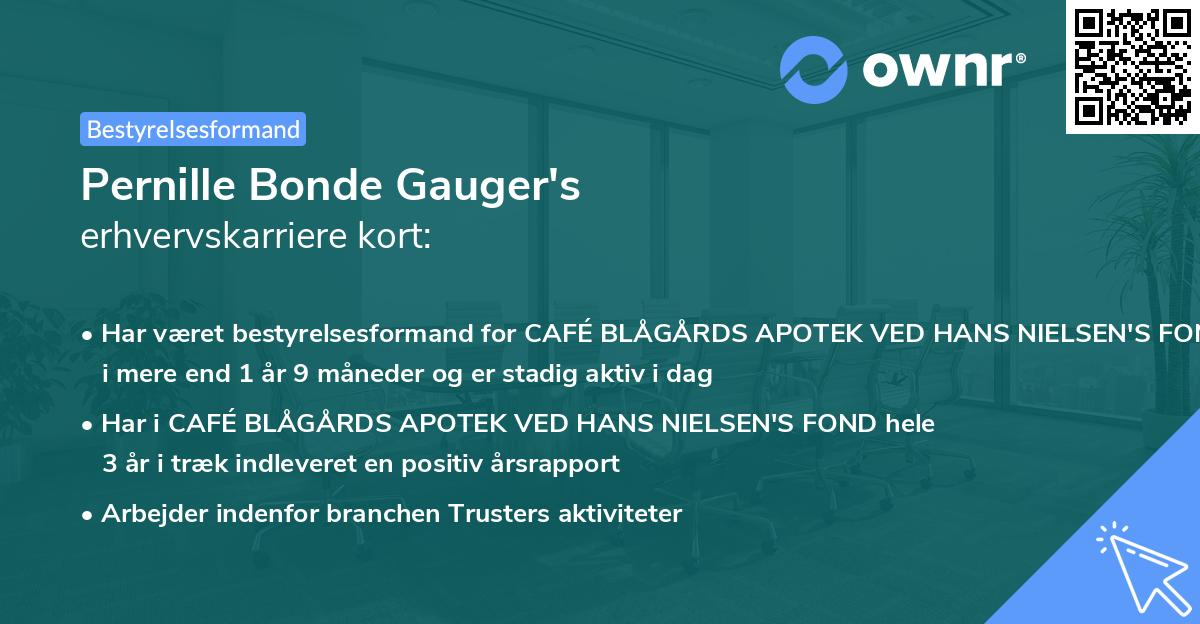 Pernille Bonde Gauger's erhvervskarriere kort