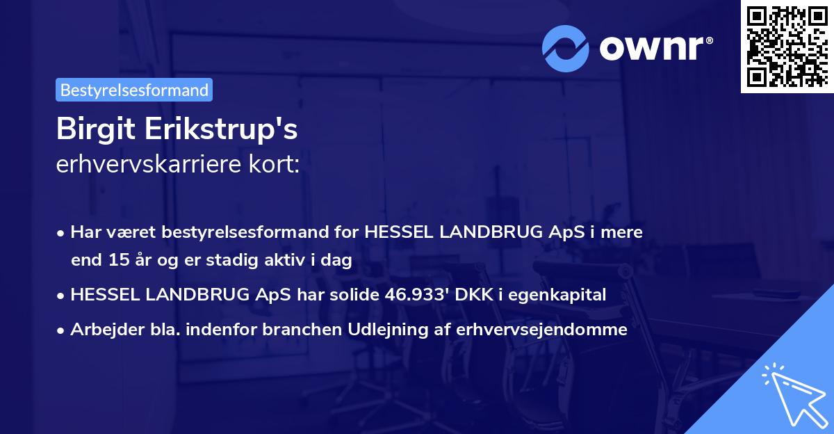 Birgit Erikstrup's erhvervskarriere kort