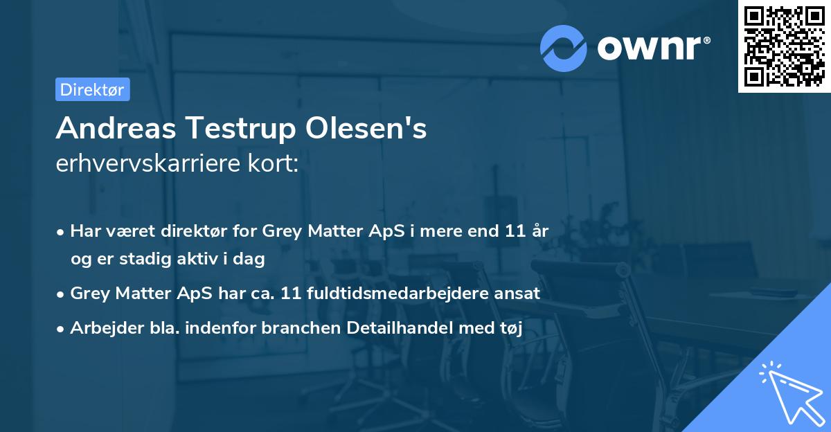 Andreas Testrup Olesen's erhvervskarriere kort