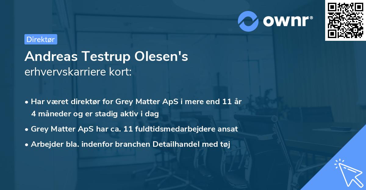 Andreas Testrup Olesen's erhvervskarriere kort