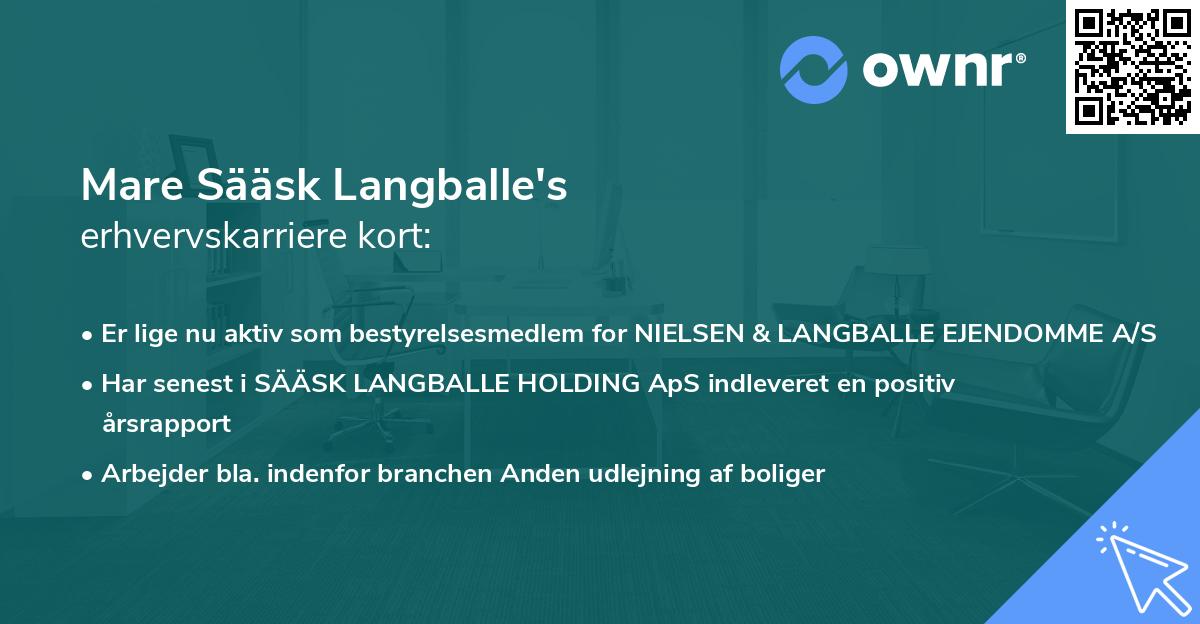 Mare Sääsk Langballe's erhvervskarriere kort