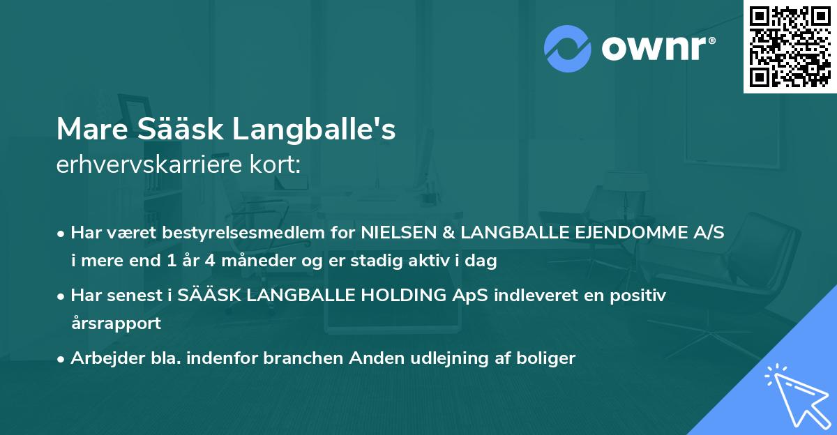 Mare Sääsk Langballe's erhvervskarriere kort