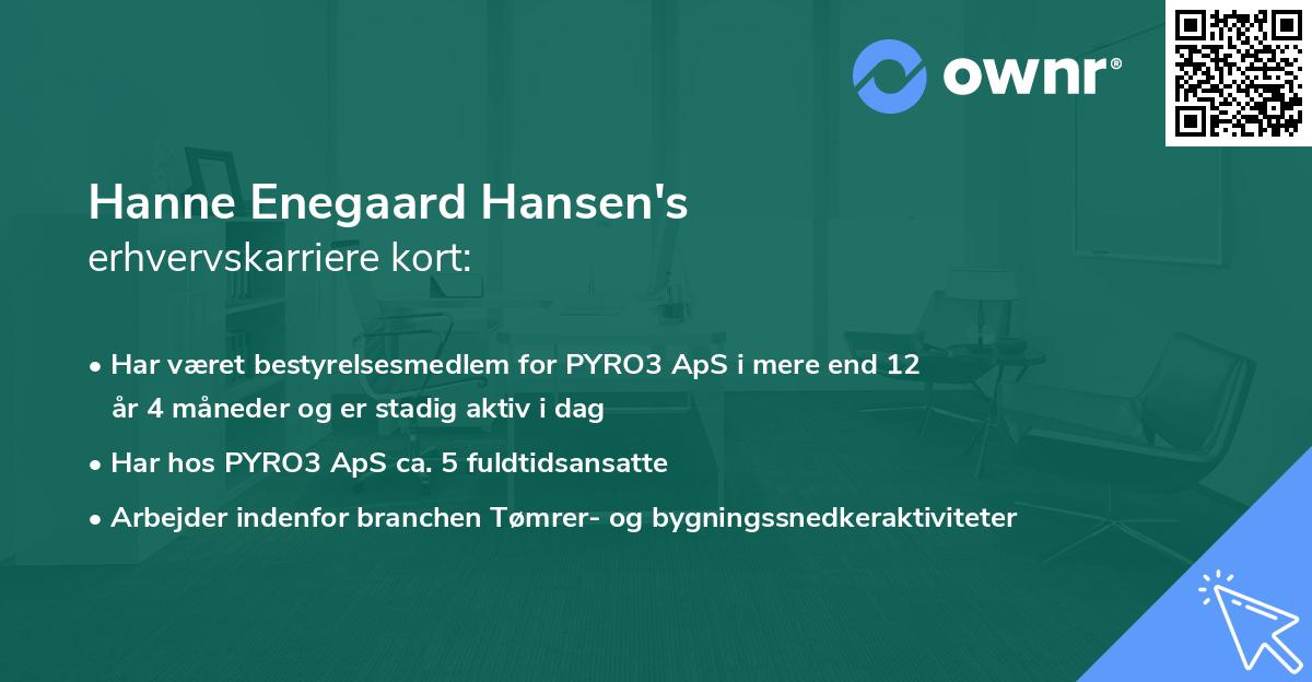 Hanne Enegaard Hansen's erhvervskarriere kort