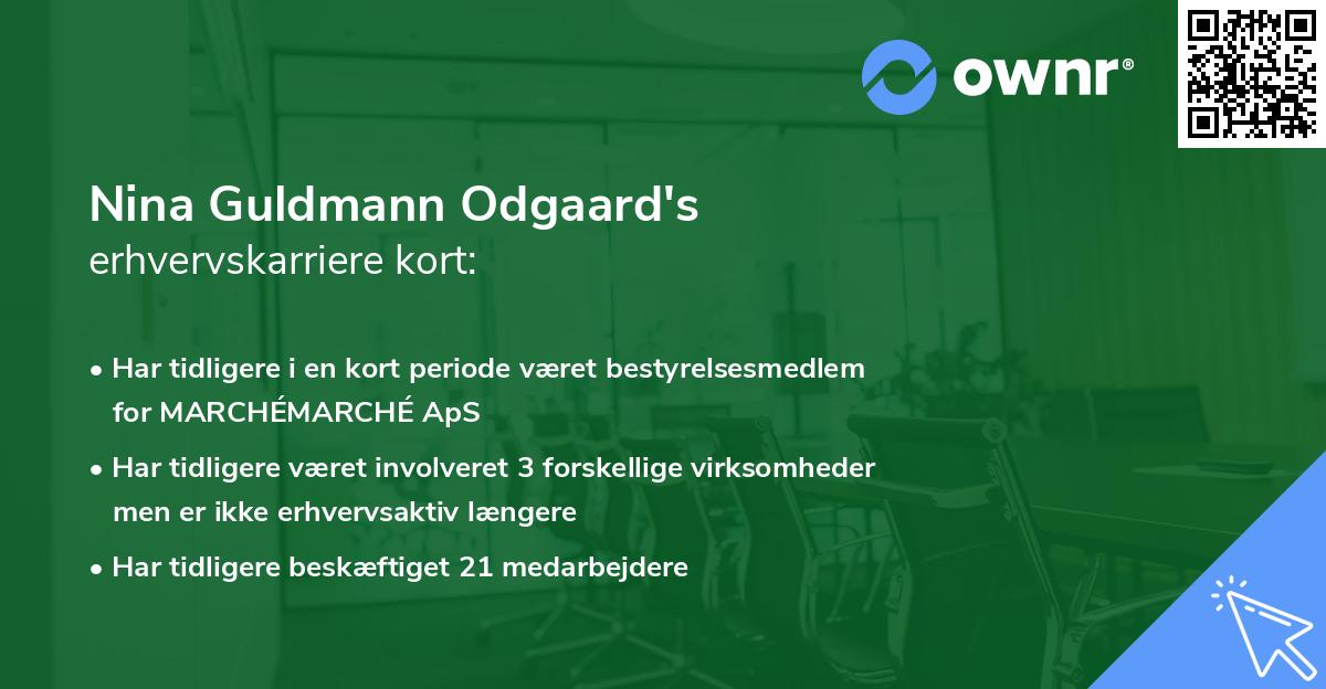 Nina Guldmann Odgaard's erhvervskarriere kort