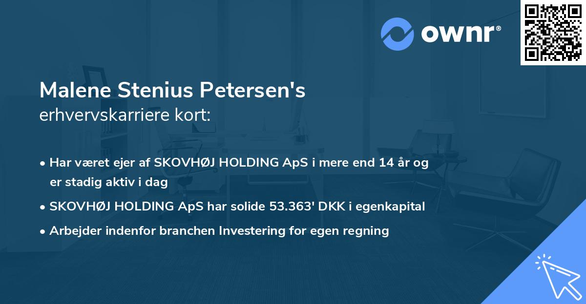 Malene Stenius Petersen's erhvervskarriere kort