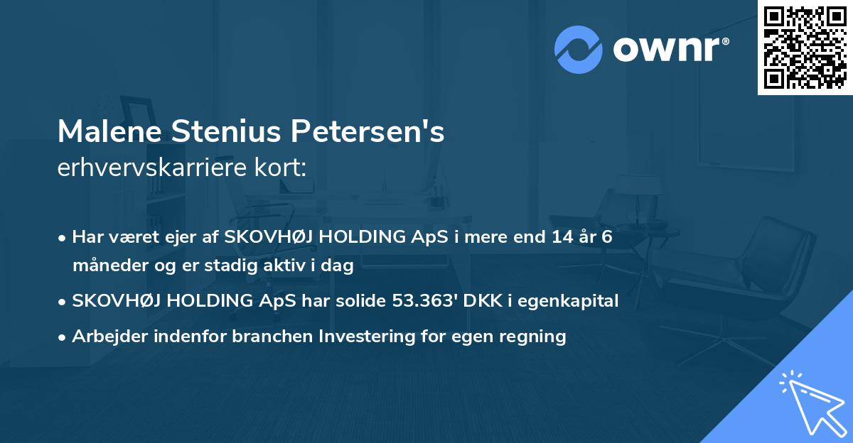 Malene Stenius Petersen's erhvervskarriere kort