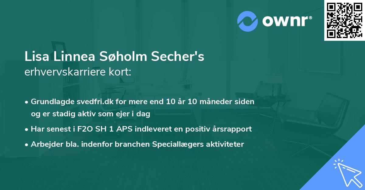 Lisa Linnea Søholm Secher's erhvervskarriere kort