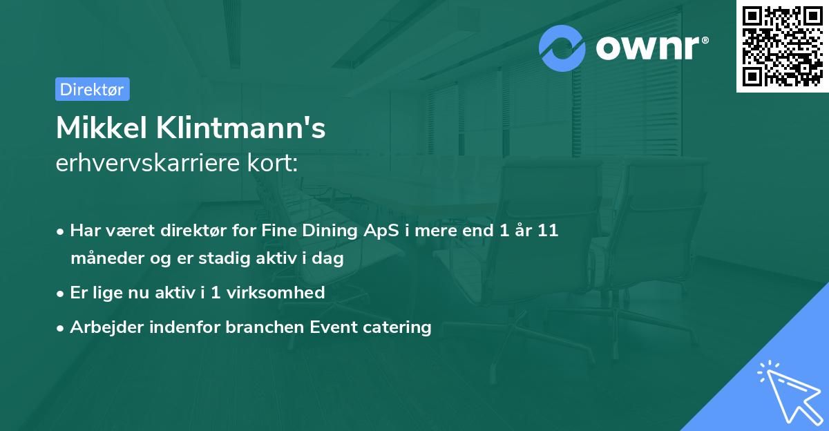 Mikkel Klintmann's erhvervskarriere kort