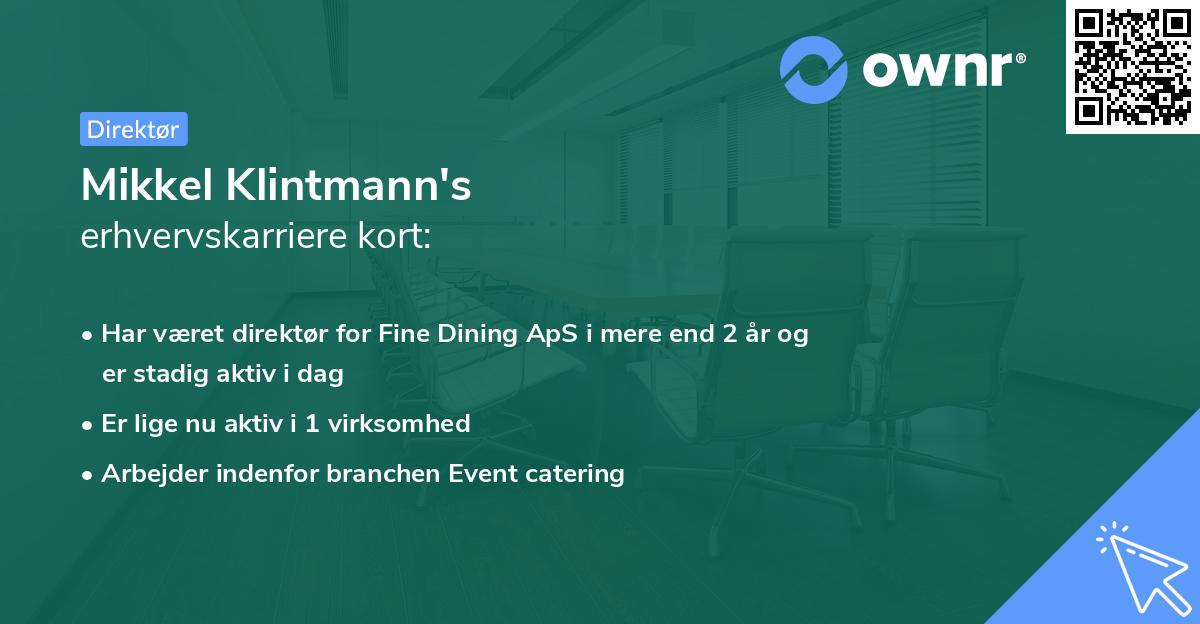 Mikkel Klintmann's erhvervskarriere kort