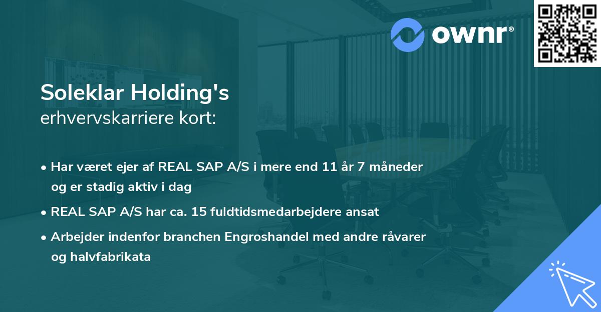 Soleklar Holding's erhvervskarriere kort