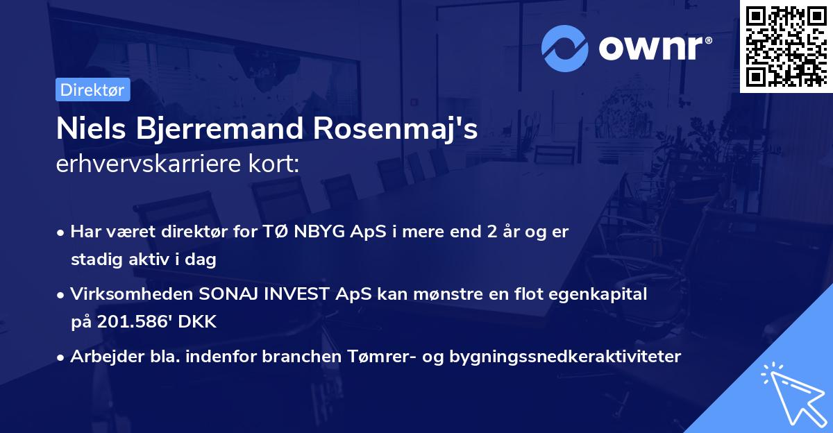 Niels Bjerremand Rosenmaj's erhvervskarriere kort
