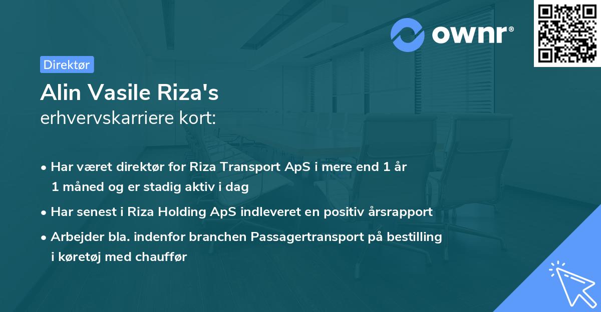 Alin Vasile Riza's erhvervskarriere kort