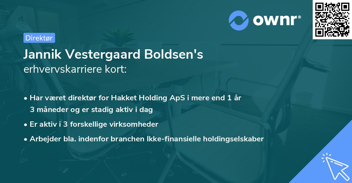 Jannik Vestergaard Boldsen's erhvervskarriere kort