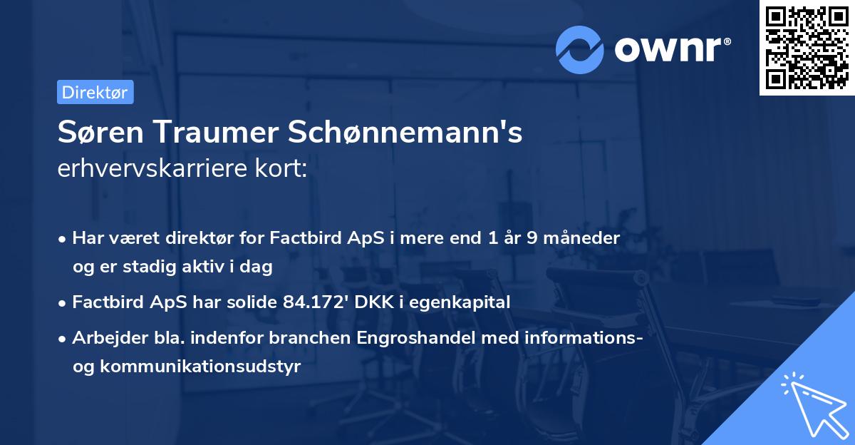 Søren Traumer Schønnemann's erhvervskarriere kort