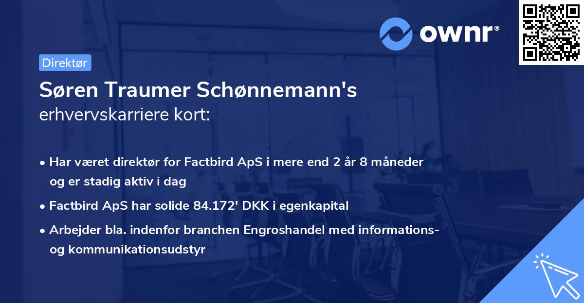 Søren Traumer Schønnemann's erhvervskarriere kort