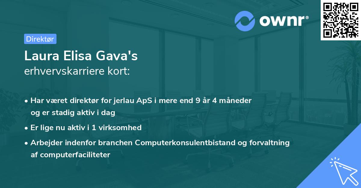 Laura Elisa Gava's erhvervskarriere kort