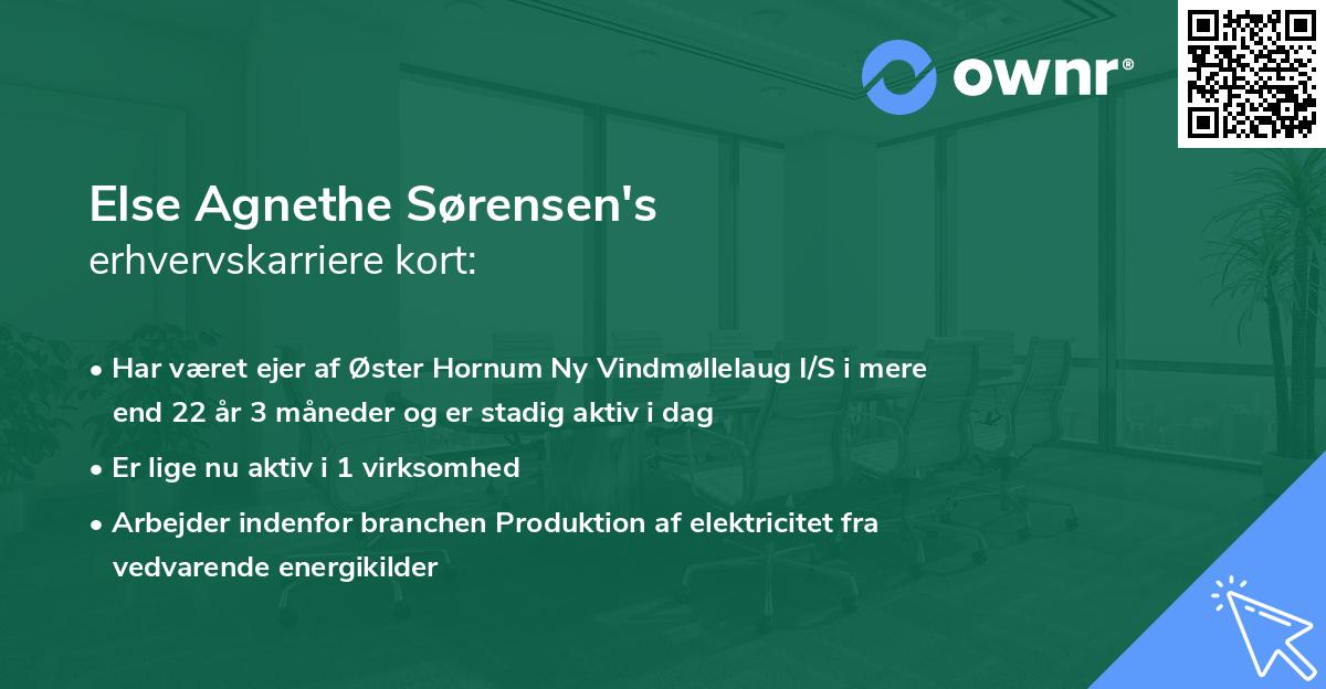 Else Agnethe Sørensen's erhvervskarriere kort