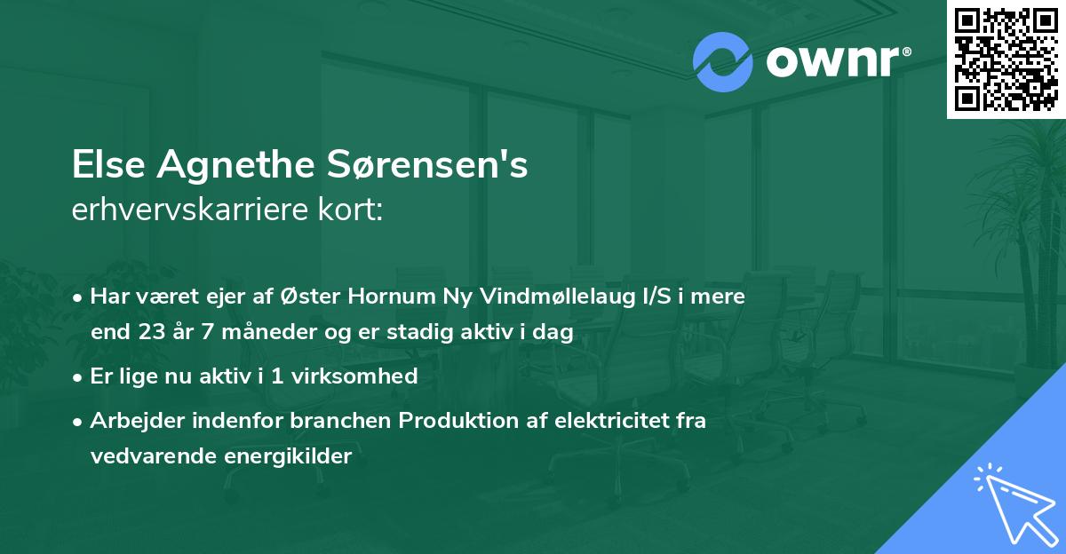 Else Agnethe Sørensen's erhvervskarriere kort