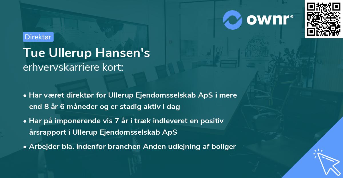 Tue Ullerup Hansen's erhvervskarriere kort
