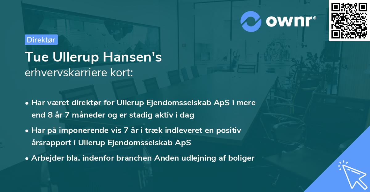 Tue Ullerup Hansen's erhvervskarriere kort