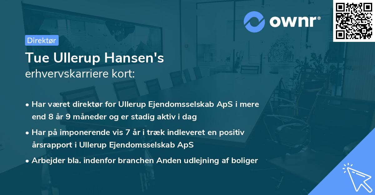 Tue Ullerup Hansen's erhvervskarriere kort