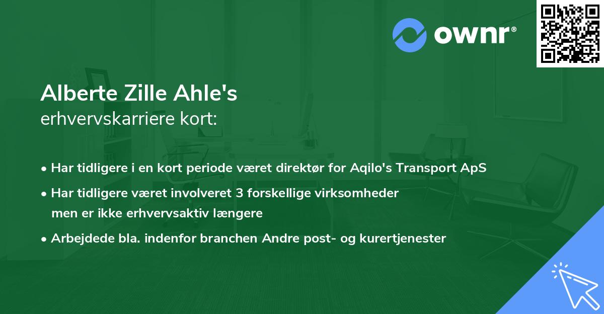 Alberte Zille Ahle's erhvervskarriere kort