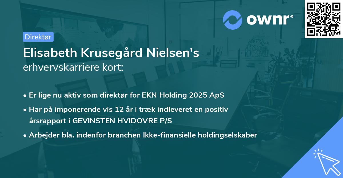 Elisabeth Krusegård Nielsen's erhvervskarriere kort