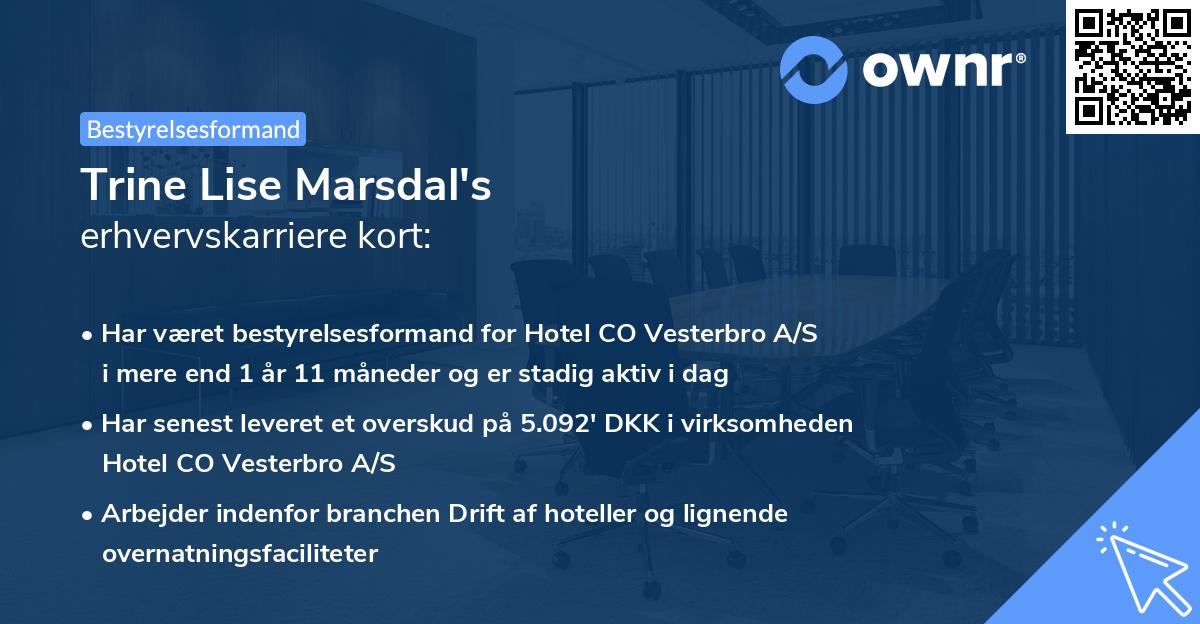 Trine Lise Marsdal's erhvervskarriere kort