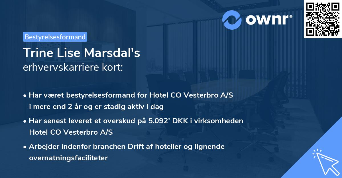 Trine Lise Marsdal's erhvervskarriere kort