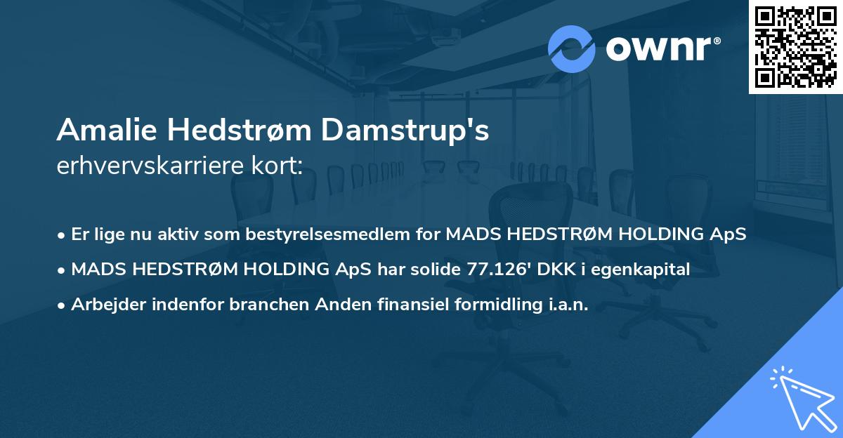 Amalie Hedstrøm Damstrup's erhvervskarriere kort