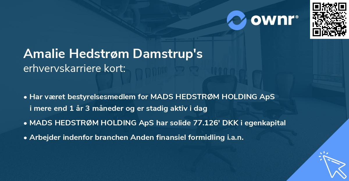 Amalie Hedstrøm Damstrup's erhvervskarriere kort