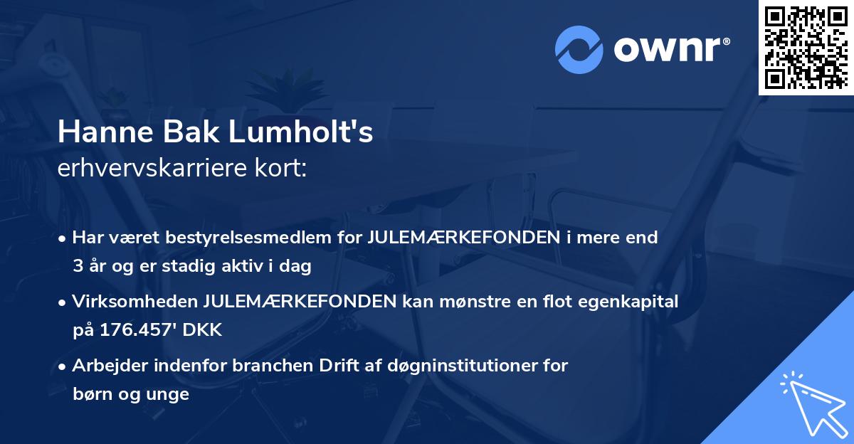 Hanne Bak Lumholt's erhvervskarriere kort