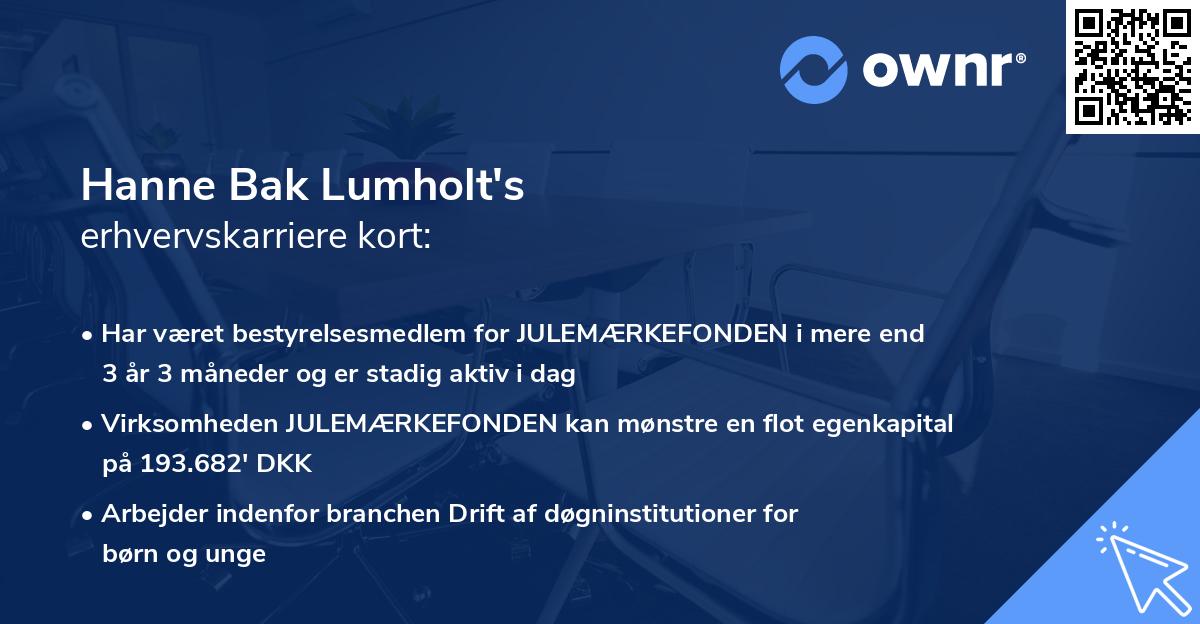 Hanne Bak Lumholt's erhvervskarriere kort