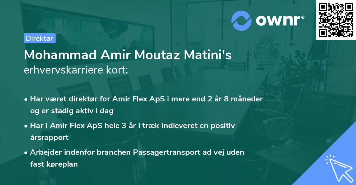 Mohammad Amir Moutaz Matini's erhvervskarriere kort