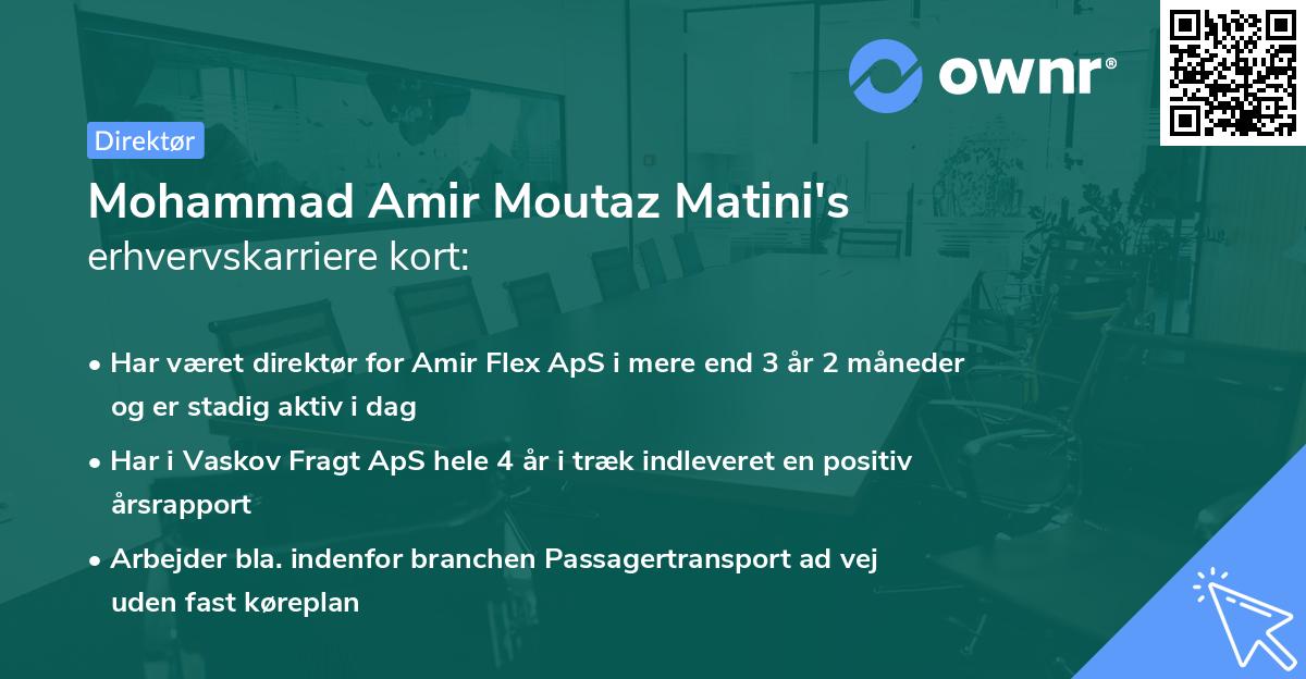 Mohammad Amir Moutaz Matini's erhvervskarriere kort