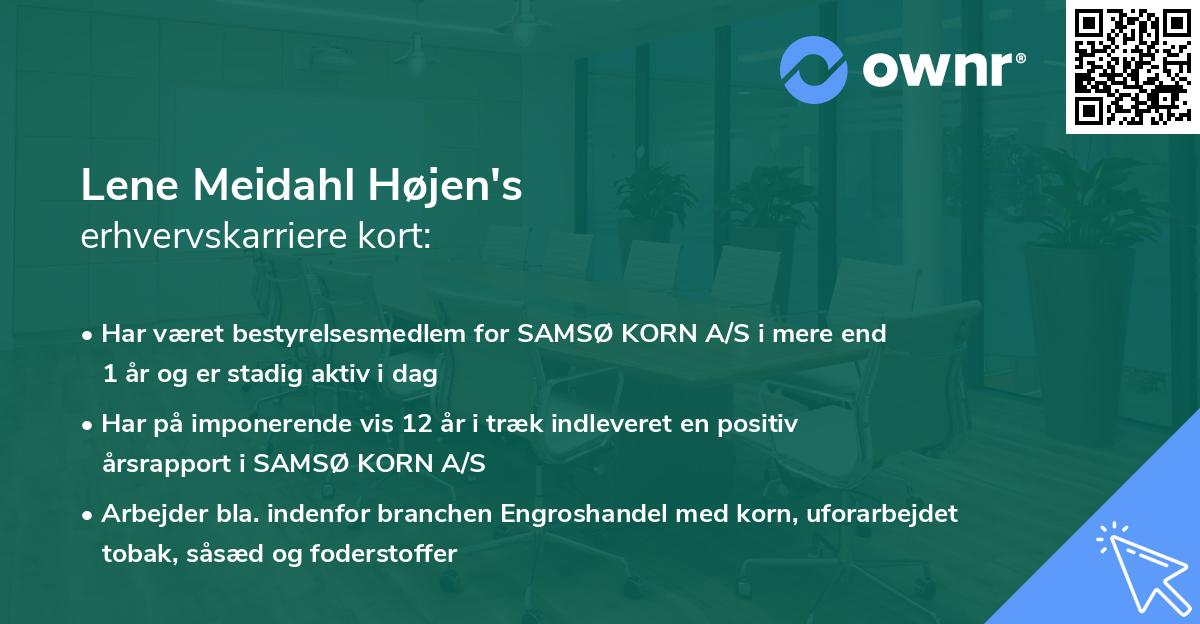 Lene Meidahl Højen's erhvervskarriere kort