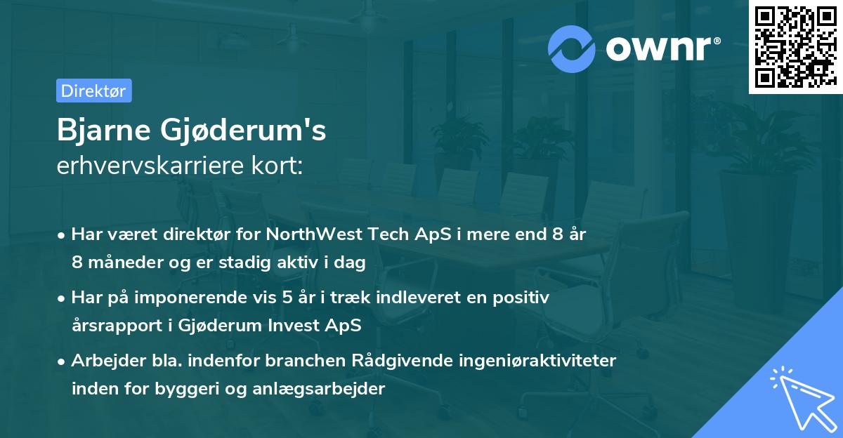 Bjarne Gjøderum's erhvervskarriere kort
