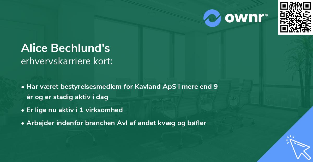 Alice Bechlund's erhvervskarriere kort