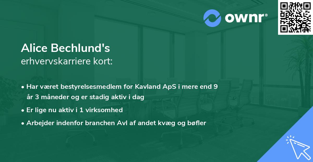 Alice Bechlund's erhvervskarriere kort