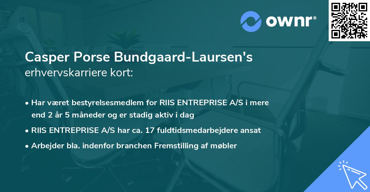Casper Porse Bundgaard-Laursen's erhvervskarriere kort