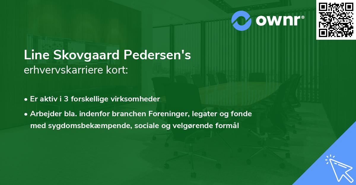 Line Skovgaard Pedersen's erhvervskarriere kort