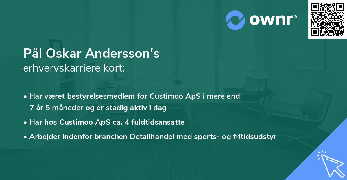 Pål Oskar Andersson's erhvervskarriere kort