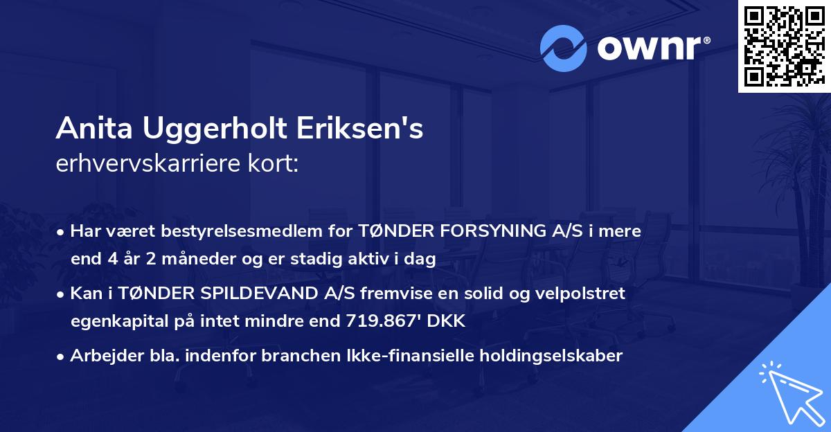 Anita Uggerholt Eriksen's erhvervskarriere kort
