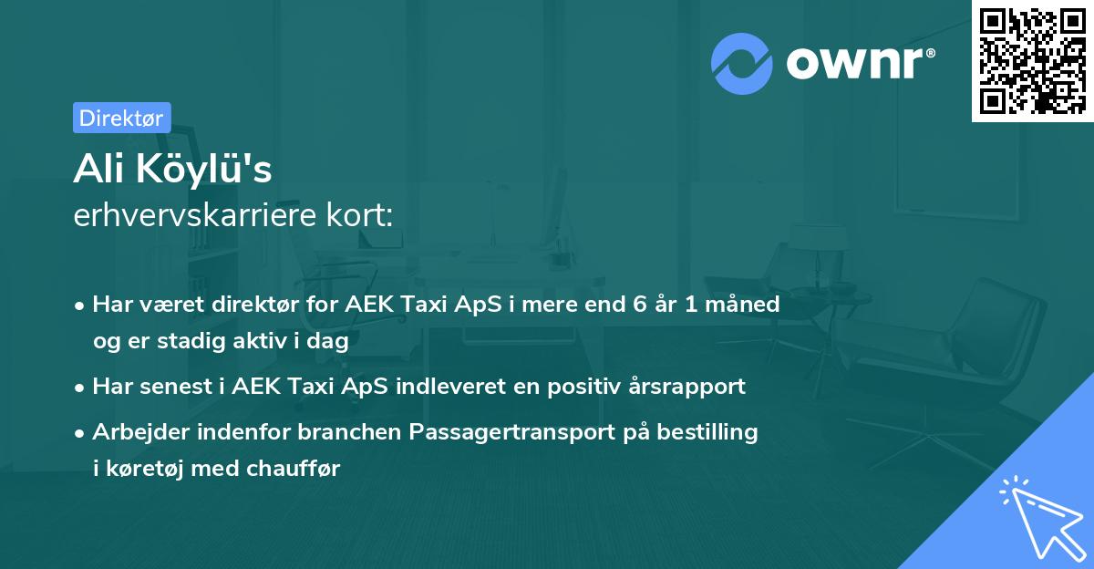 Ali Köylü's erhvervskarriere kort