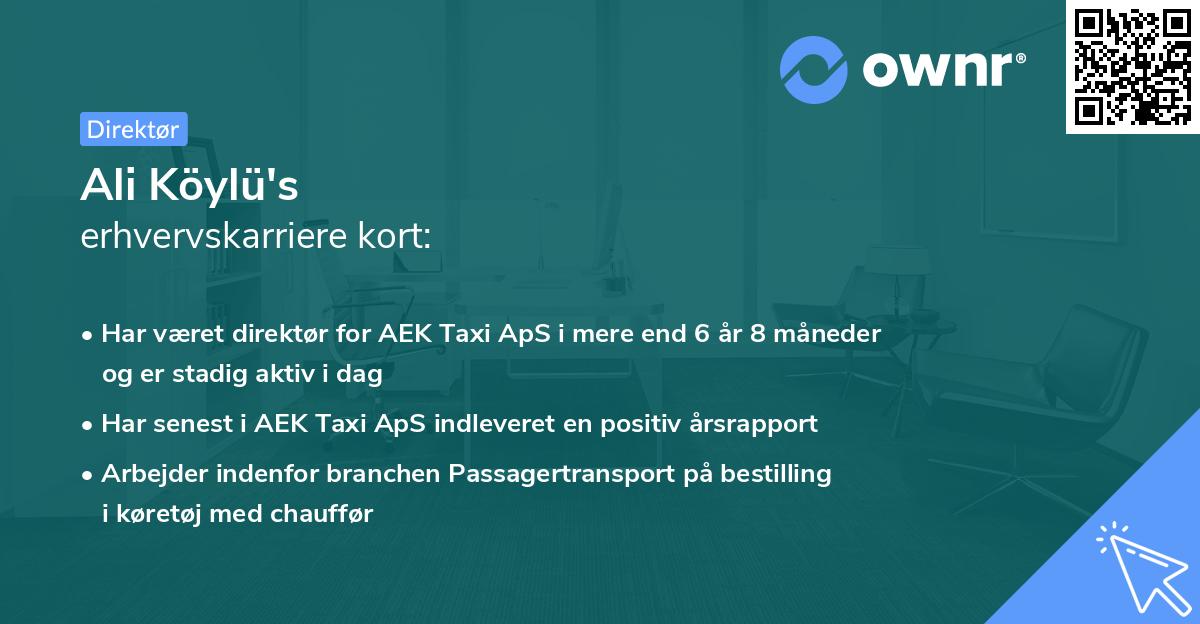 Ali Köylü's erhvervskarriere kort