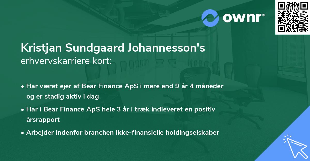 Kristjan Sundgaard Johannesson's erhvervskarriere kort