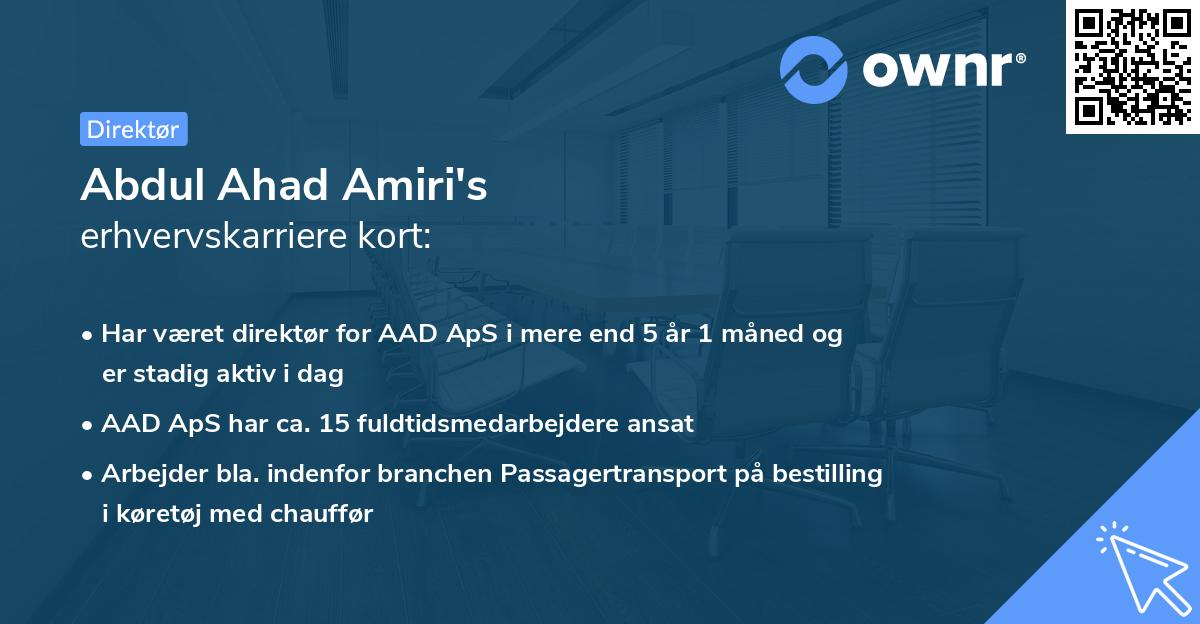 Abdul Ahad Amiri's erhvervskarriere kort